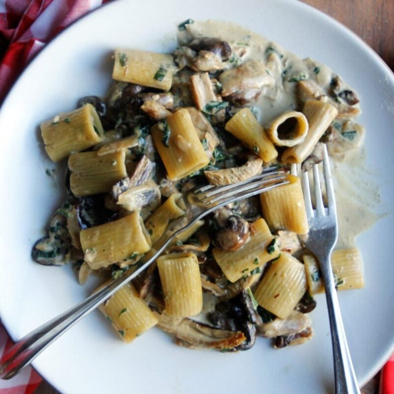 Creamy Mushroom Rigatoni on a plate with forks