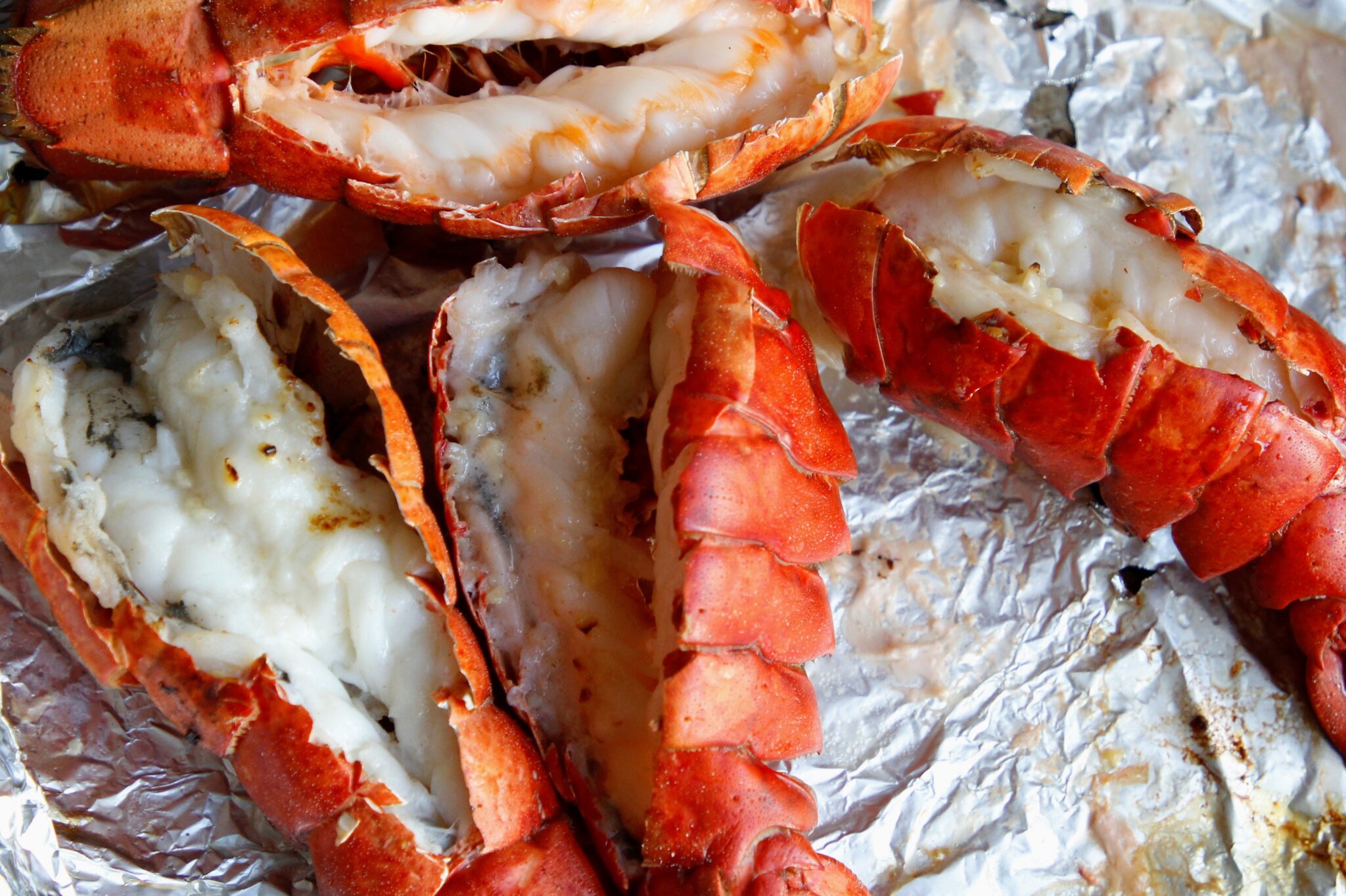 Easy Roasted Lobster - Loriana Shea Cooks