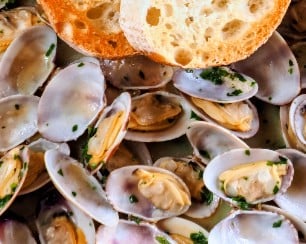 Lorianasheacooks.com (500 x 500 px)_20261019_095302_0000~2