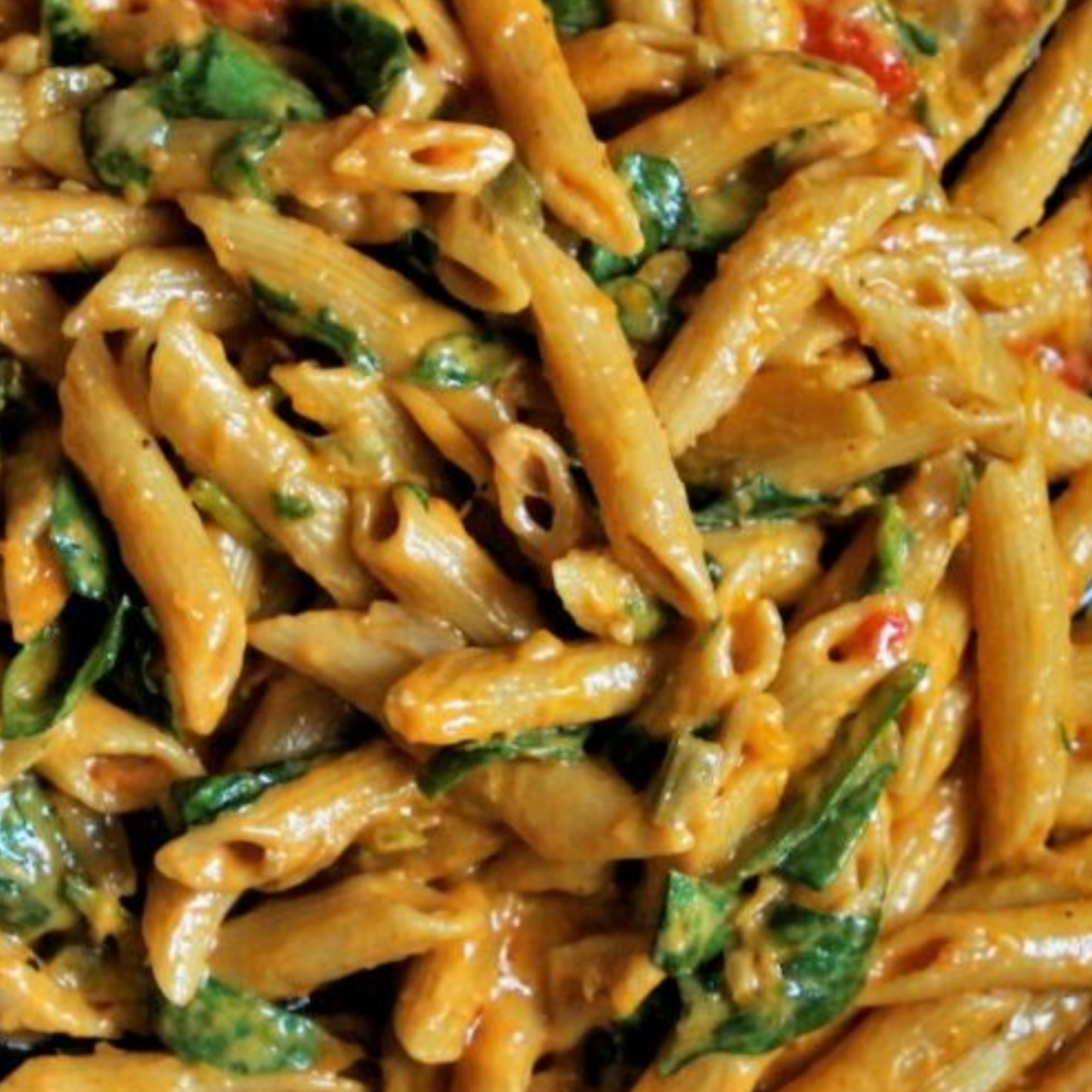 Vegetarian Italian Penne pasta (1)